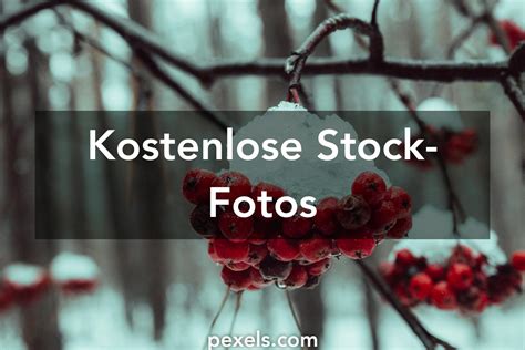 stockbilder|Stock Fotos, Lizenzfreie Bilder & Kostenlose Bilder